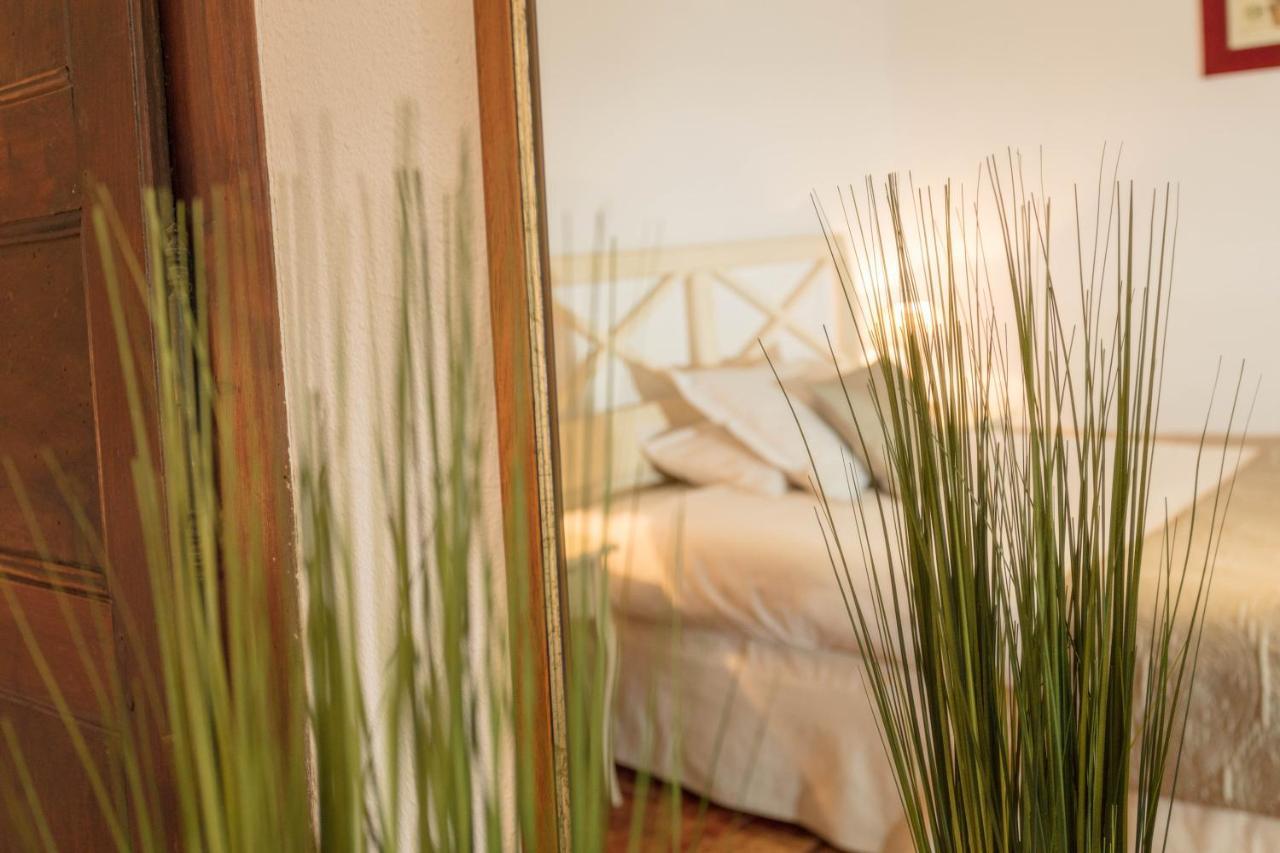 فندق Logis Auberge Cote Jardin Lézignan-Corbières المظهر الخارجي الصورة
